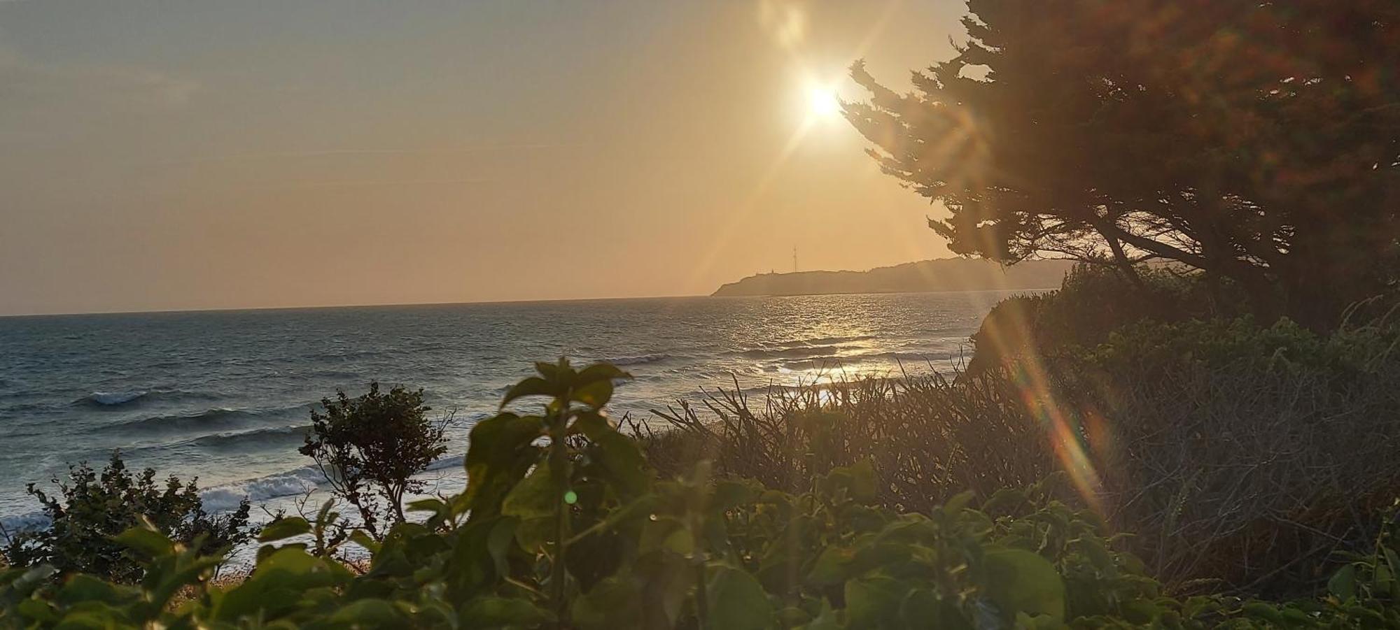 Les Sables D'Or - Joli T3 200M De La Plage Barneville-Carteret Esterno foto
