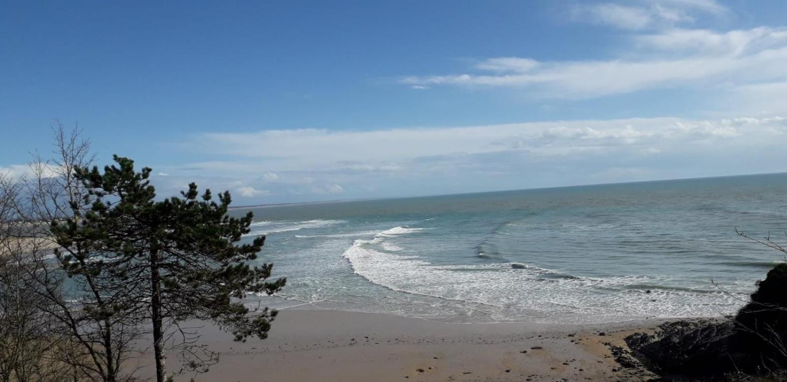 Les Sables D'Or - Joli T3 200M De La Plage Barneville-Carteret Esterno foto